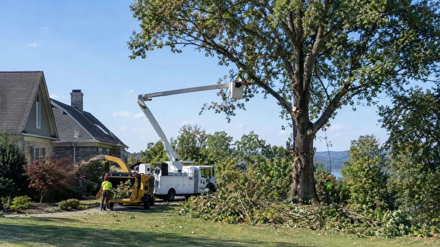 Tree Service work in progress on a Middle Tennessee home